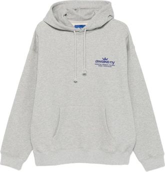 Awake NY Globe Hoodie - Heren - Hoodies - Grijs - XL - Katoen - Hoodies & sweatvesten