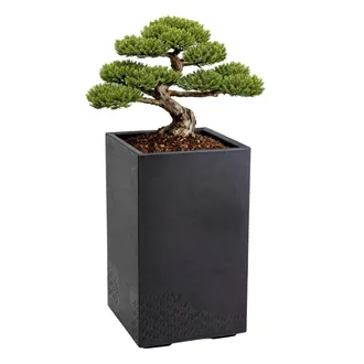 OEM Maceta Betonique Con Ruedas, Reciclada, Negra, 60 X 40 Cm
