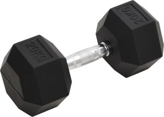 vidaXL Mancuerna Hierro Fundido 20 Kg Vidaxl