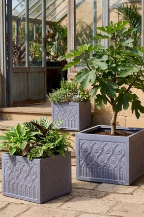 Dibor Set of 3 Siena Grey Embossed Summer Outdoor Garden Planters | Size: Large