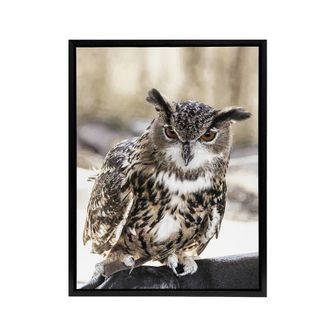 Artery8 Owl perched on a rock Carol M Highsmith Framed Canvas Wall Art Print | Size: W24 x H32