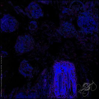 Rosemary Goodenough Mad Red Flowers V Silk Scarf