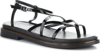 Bos. & Co. Cassia Ankle Strap Platform Sandal in Black at Nordstrom, Size 10-10.5Us