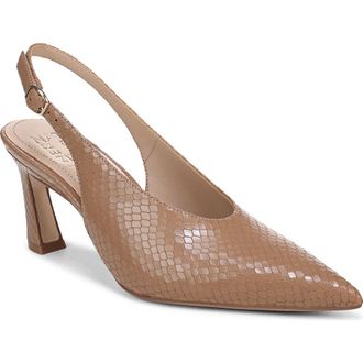 Naturalizer Elaine Slingback Pointed Toe Pump in Cafe at Nordstrom, Size 9.5