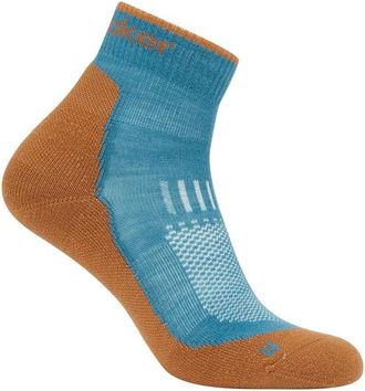 Icebreaker Merino Hike+ Light Mini Wandersocken für Herren | bunt