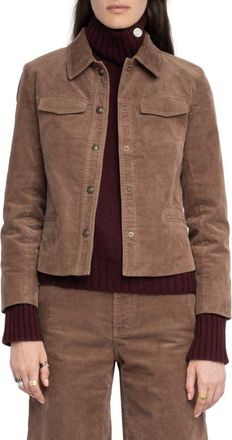 Zadig&Voltaire Liam Corduroy Jacket in Wood at Nordstrom, Size X-Small Regular