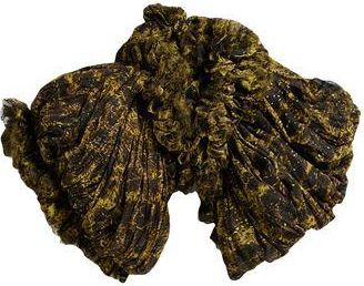 Rick Owens JACKEN & M&Auml;NTEL - Capes auf YOOX.COM