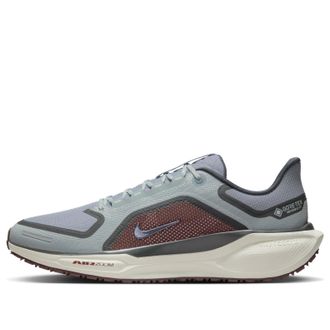 Nike Air Zoom Pegasus 41 Gore-Tex Light Pumice Ashen Slate Burgundy FQ1356-003