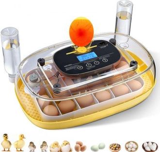 OEM Incubadora De 24 Huevos De Gallina, Volteadora Autom&aacute;tica Con Luz Led, Control De Temperatura, Muestra De Humedad, Ventana Transparente Con Vista 360&deg;