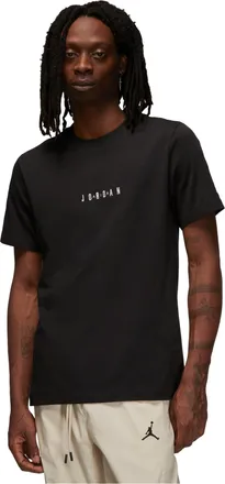 Nike Jordan Air Jordan Short Sleeve Tee DM3182-010