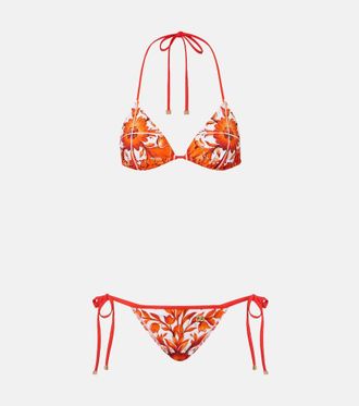 Dolce & Gabbana Bikini Majolica