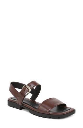 Vince Vega Ankle Strap Sandal in Molton Brown at Nordstrom, Size 7.5