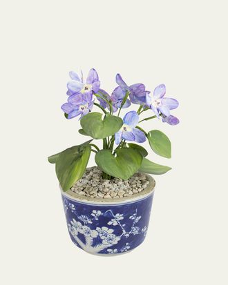 Tommy Mitchell Violet February Birth Flower in Ceramic Pot
