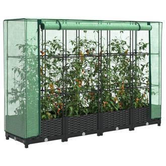 Berkfield Home Raised Bed with Greenhouse Cover Rattan Look 160x40x123 cm in Black | Size: 160 x 40 x 123 cm