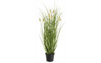 Botanic-Haus Kunstblume