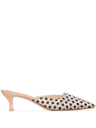 Salondeju Mules - Toni neutri