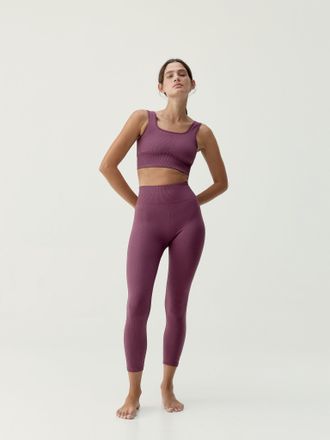 Born Legging Idara Beet Plant