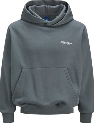 Jack & Jones Jack & Jones sweatshirt met capuchon