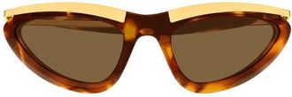 Bottega Veneta BV1477S Cat Eye Sunglasses in Havana at Nordstrom