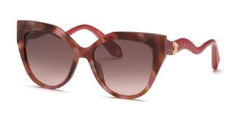 Roberto Cavalli SRC138M 01GQ Mens Sunglasses Tortoiseshell Size 55