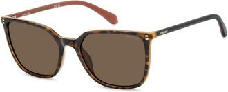 Polaroid PLD 4209/S/X Zonnebril - Dames - Accessoires - Bruin - Maat: 56 MM
