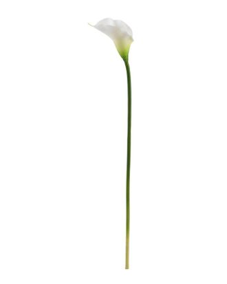 Nearly Natural Set Of 12 19.5In Calla Lily Artificial Flower