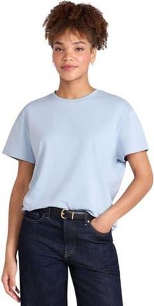 Animal Grace Heavyweight Relaxed Fit Short-Sleeved T-Shirt in Blue at Nordstrom, Size 10