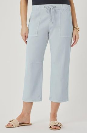 Splendid Regina Crop Pants in Country Air Blue at Nordstrom, Size X-Small
