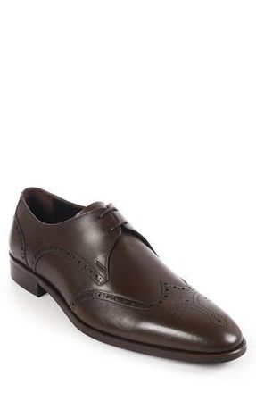 Vella Pais Pelican Wingtip Derby in Dark Brown at Nordstrom Rack, Size 12