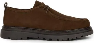 Bobbies Marcus Derbies & Oxfords in Rockies Brown at Nordstrom, Size 12