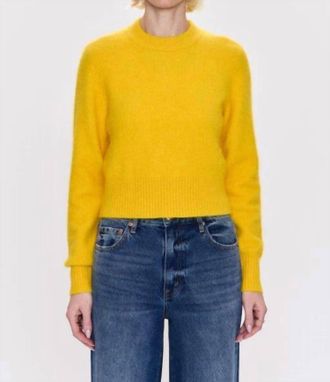Pistola Denim Sara Sweater In Citron