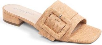 Patricia Green Bali Slide Sandal in Natural Raffia at Nordstrom, Size 8