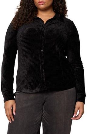 Sanctuary Fitted Textured Stripe Velvet Button-Up Shirt in Black at Nordstrom Rack, Size 1X