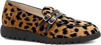 Amalfi By Rangoni Erik Wedge Sneaker in Curry Dizy Black Vernice Trim at Nordstrom, Size 7.5