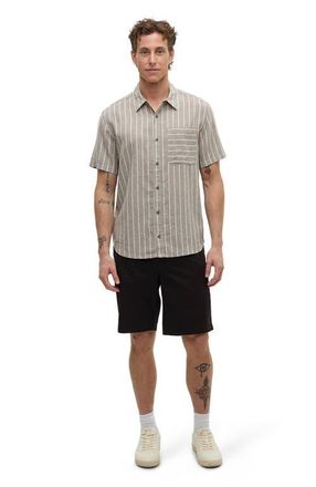 tentree Dundas Shirt in Clay/wide Pinstripe at Nordstrom, Size Xx-Large