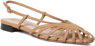 Loeffler Randall Devon Lattice Slingback Sandal in Dune at Nordstrom, Size 12