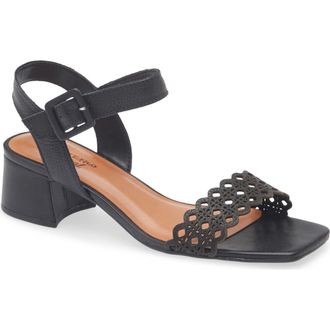 Bottero Catia Ankle Strap Sandal in Preto at Nordstrom, Size 10