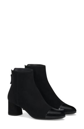 AGL Veta Cap Toe Velour Bootie with Heel in Nero-Nero at Nordstrom, Size 37.5