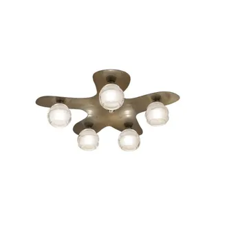 Netlighting Loop Ceiling 5 Light G9 Antique Brass in Yellow