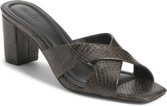 Open Edit Grady Slide Sandal in Brown Espresso Snake at Nordstrom, Size 7.5