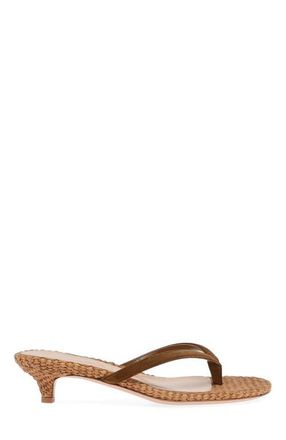Gianvito Rossi Calypso Thong in Brown Suede Leather at Nordstrom, Size 39.5