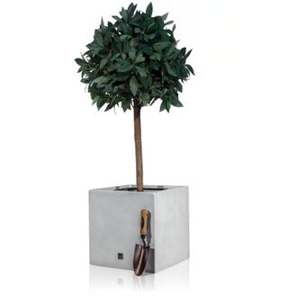 PRIMROSE Fibreglass Cube Gloss Planter in Silver 50cm