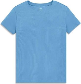 primary Womens Fit Rib Tee in Cornflower at Nordstrom, Size Xx-Large