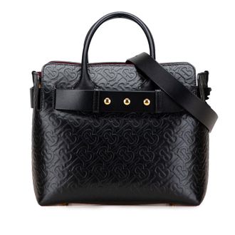 Burberry Pre-owned Burberry Small TB Monogram Embossed Leather Belt Bag Ladies QSE3VKDFFQPGP3XT