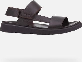 Geox Xand 2s Man Brown Cotto, Size: 40