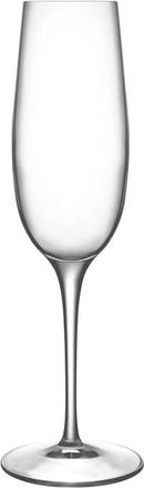 Luigi Bormioli Crescendo Set of 4 Champagne Flutes in Clear at Nordstrom