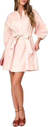 Gibsonlook Ambition Belted Cotton Shirtdress in Pearl Blush at Nordstrom, Size Xx-Large