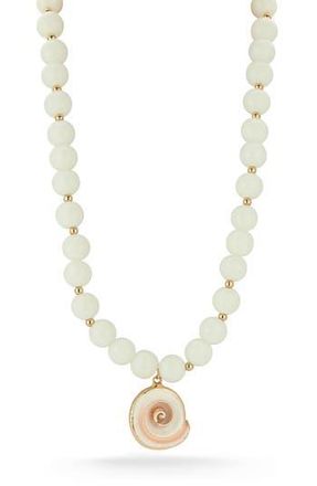 Sphera Milano Shell Pendant Necklace in Gold at Nordstrom Rack