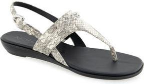 Aerosoles Gemal Slingback Sandal in Roccia Embossed Snake Leather at Nordstrom Rack, Size 7.5