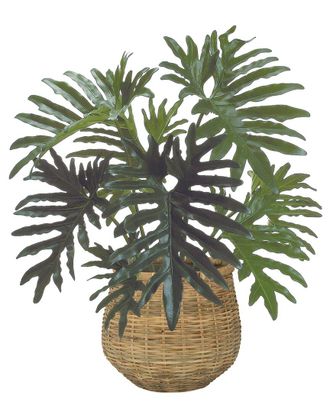 Creative Displays Inc. 2.5Ft Philodendron Plant With Bamboo Planter